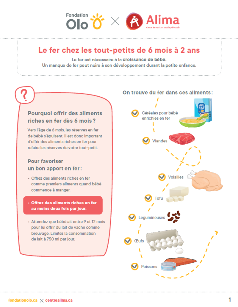 Le fer chez les tout-petits de 6 mois à 2 ans 