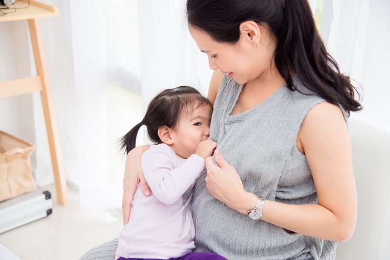 Can I breastfeed during pregnancy?