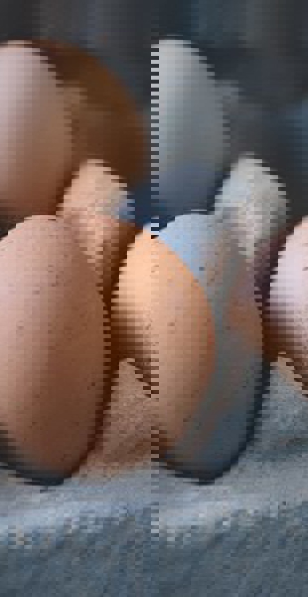 La choline : Un nutriment important pour le nourrisson ?