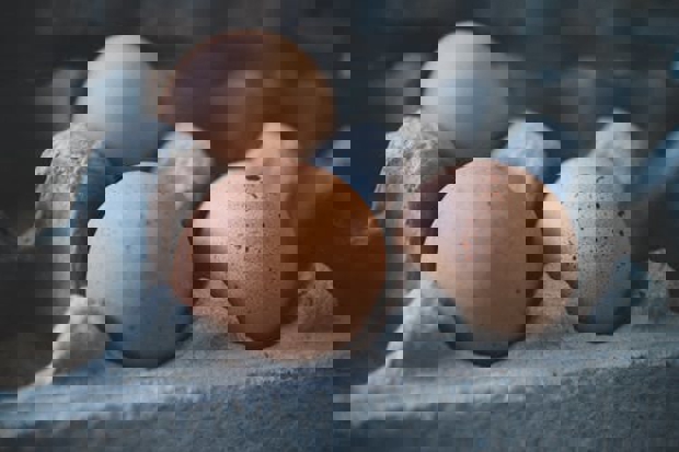 La choline : Un nutriment important pour le nourrisson ?