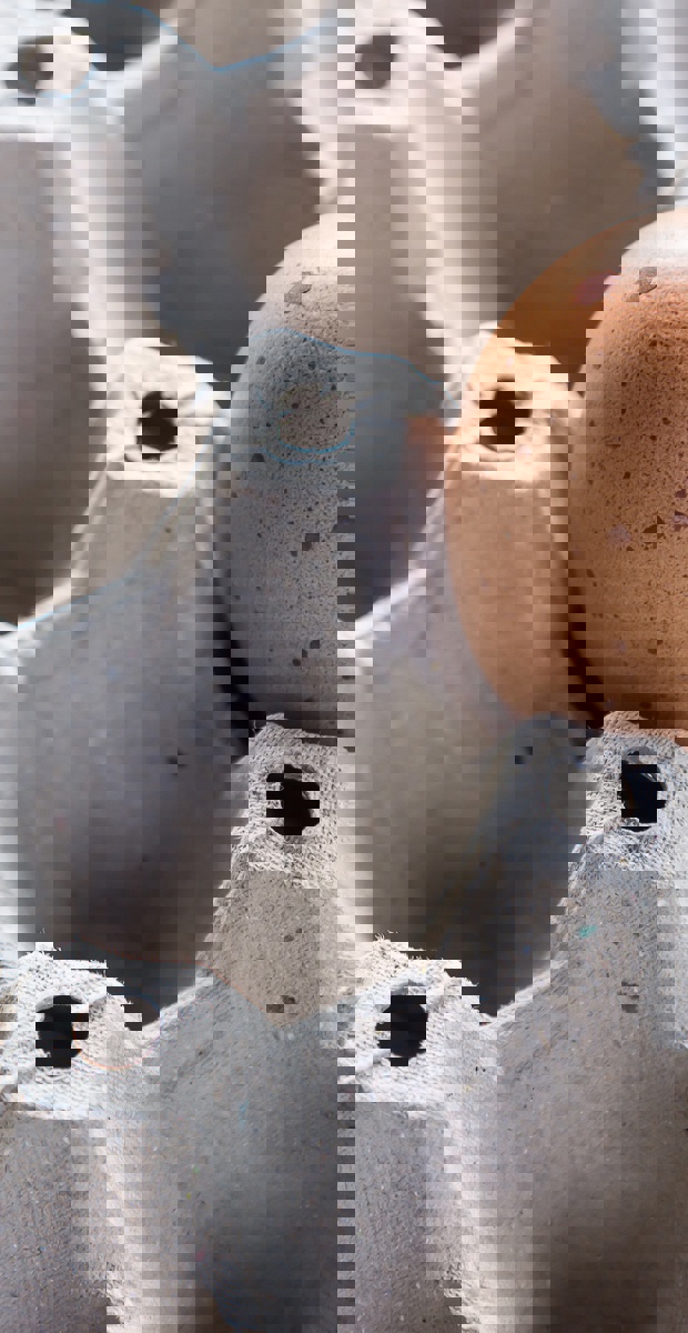 Can my baby eat whole eggs starting at six months of age?