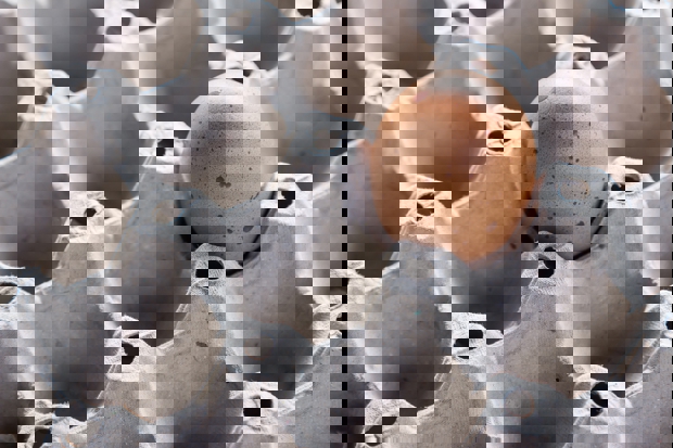 Can my baby eat whole eggs starting at six months of age?