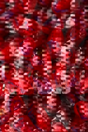 Download the file here ()