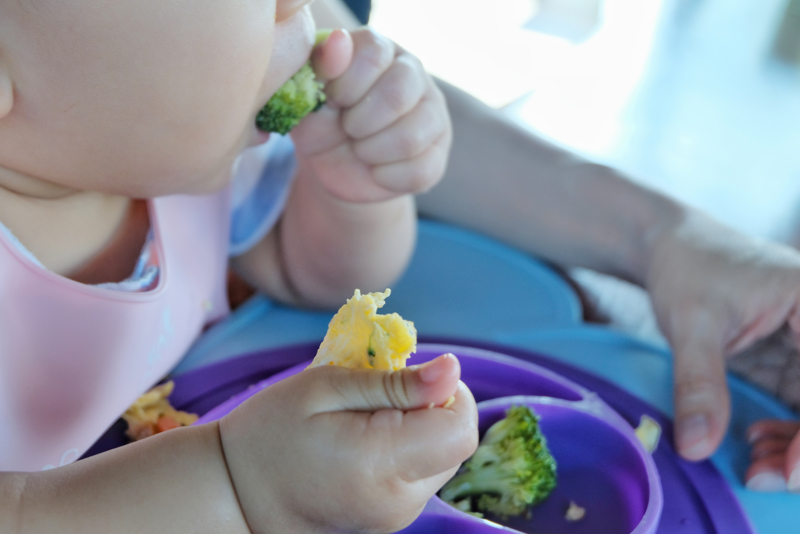 Doit-on intégrer les aliments à manger avec les doigts dès l’introduction des aliments solides ?